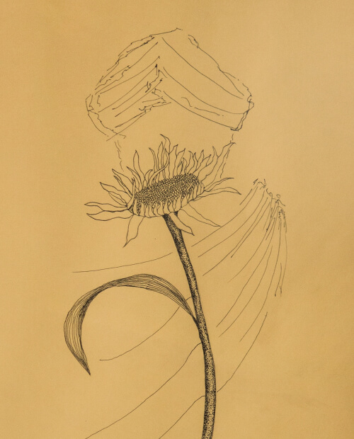 Flower of the Crown