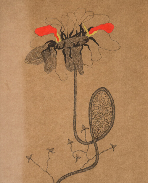 The Unmanifest Seed
