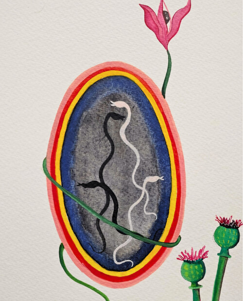 Seed of life
